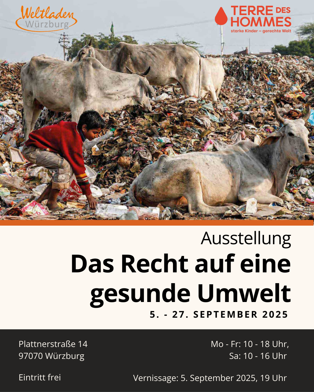 Ausstellung tdh